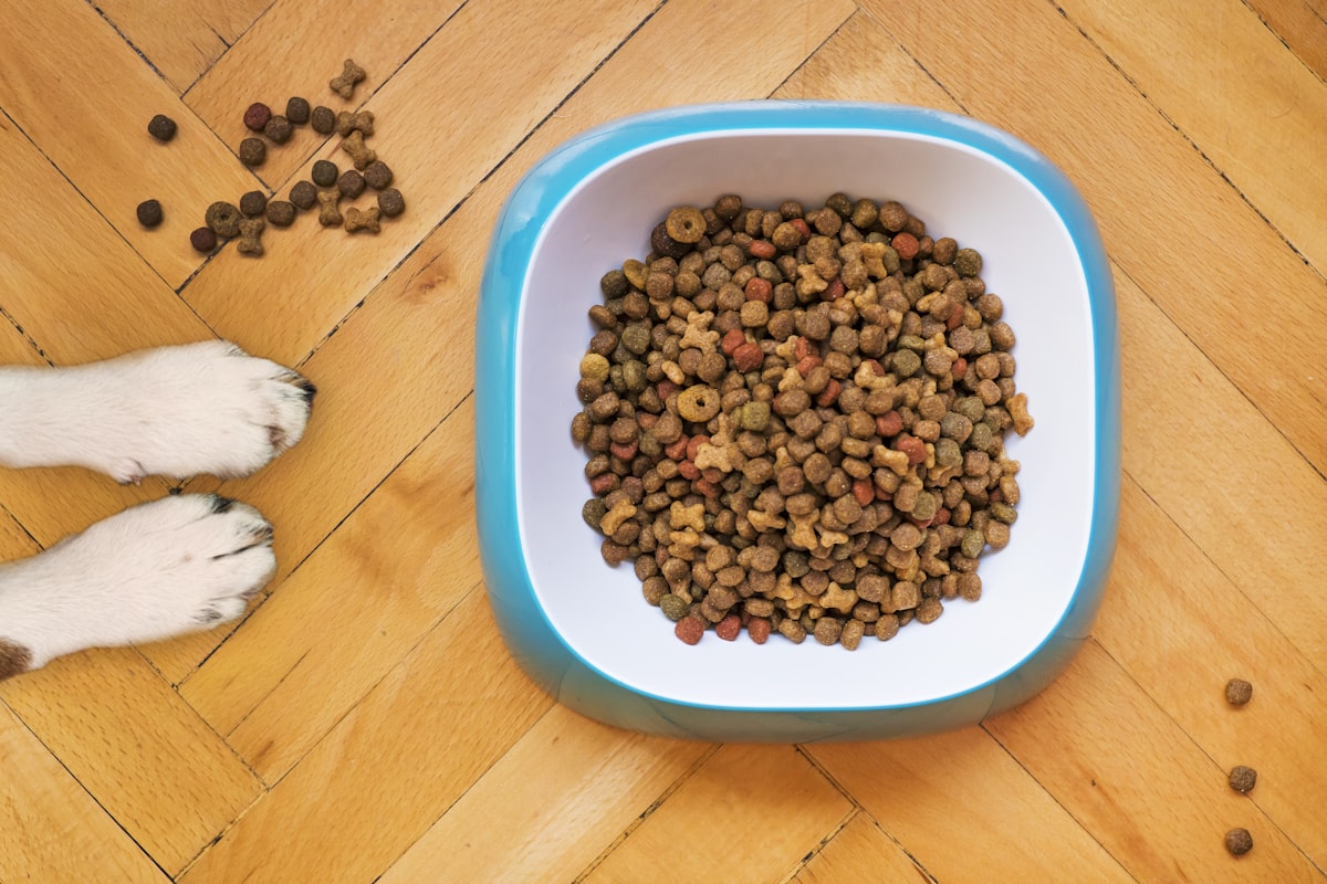 Alimentation animale