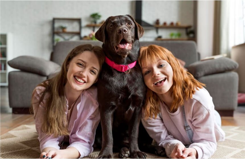 Quand consulter un vétérinaire en urgence ?