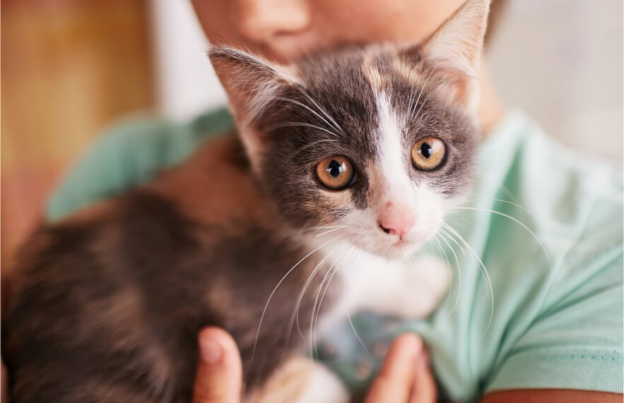 Les erreurs courantes en alimentation et Les bons réflexes à adopter