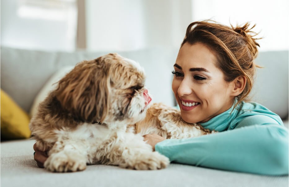 Les parasites (puces, tiques, vers) : comment protéger efficacement votre animal